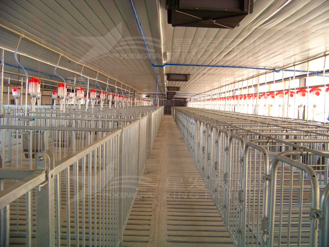 高溫來襲，養(yǎng)殖場安裝樹脂瓦，為小動物營造避暑勝地