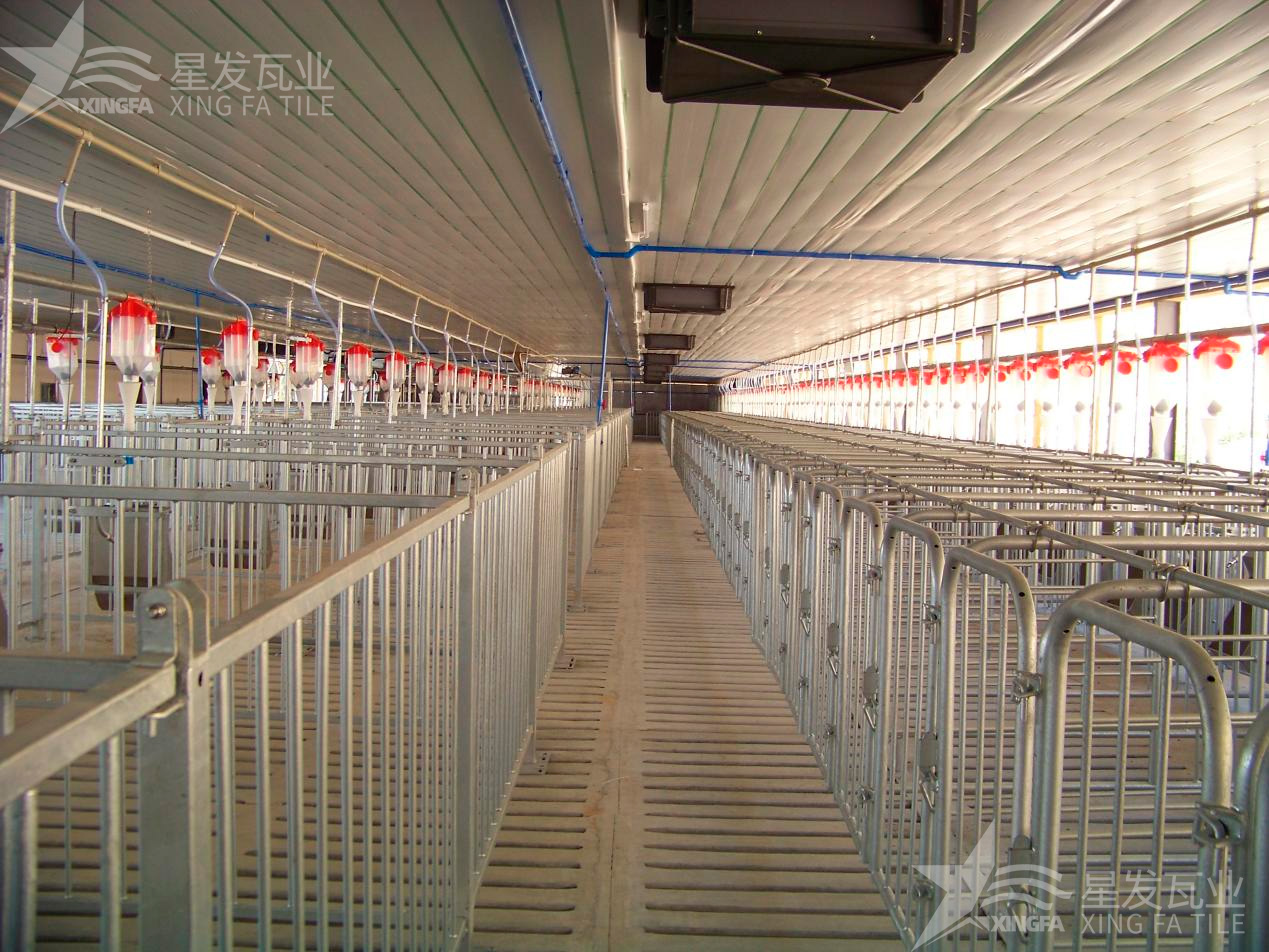 炎炎夏日即將來(lái)臨，為什么養(yǎng)殖場(chǎng)越來(lái)越多地選擇PVC瓦？