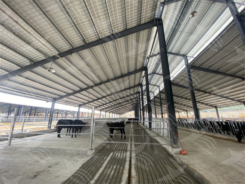 樹脂瓦：養殖場的夏日守護者，為小動物打造涼爽樂園